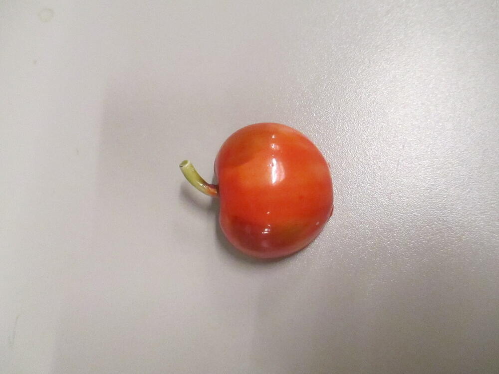 Broche in de vorm van appel, oranjerood gelakt metaal met groen steeltje