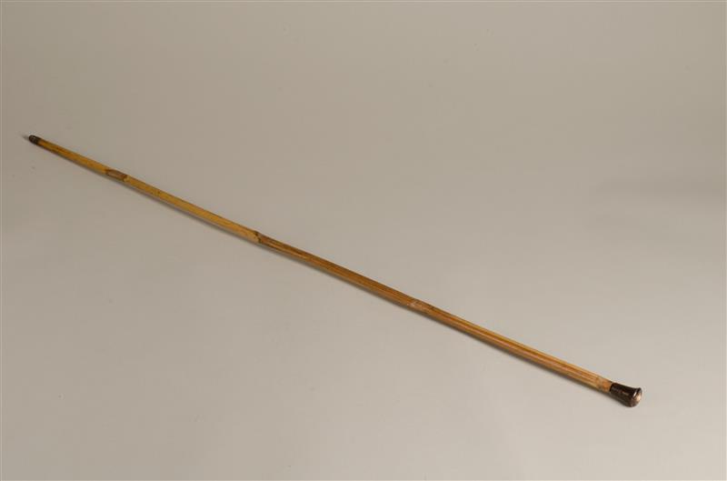 Wandelstok