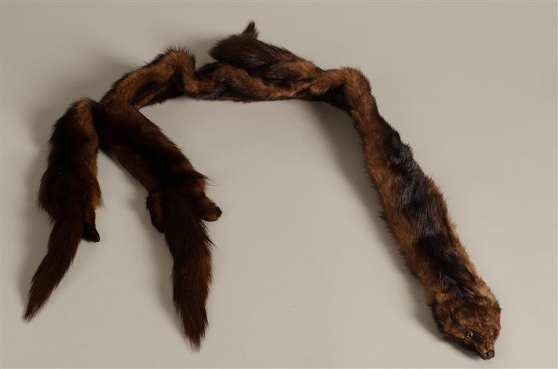 Damesbontdas
