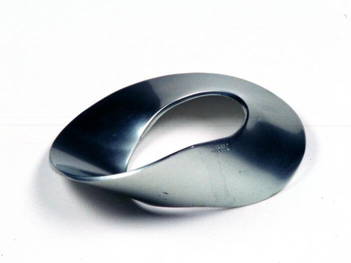 Armband van platte cirkel met draaiing