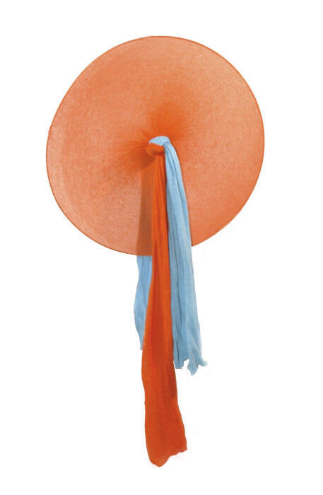 Disc