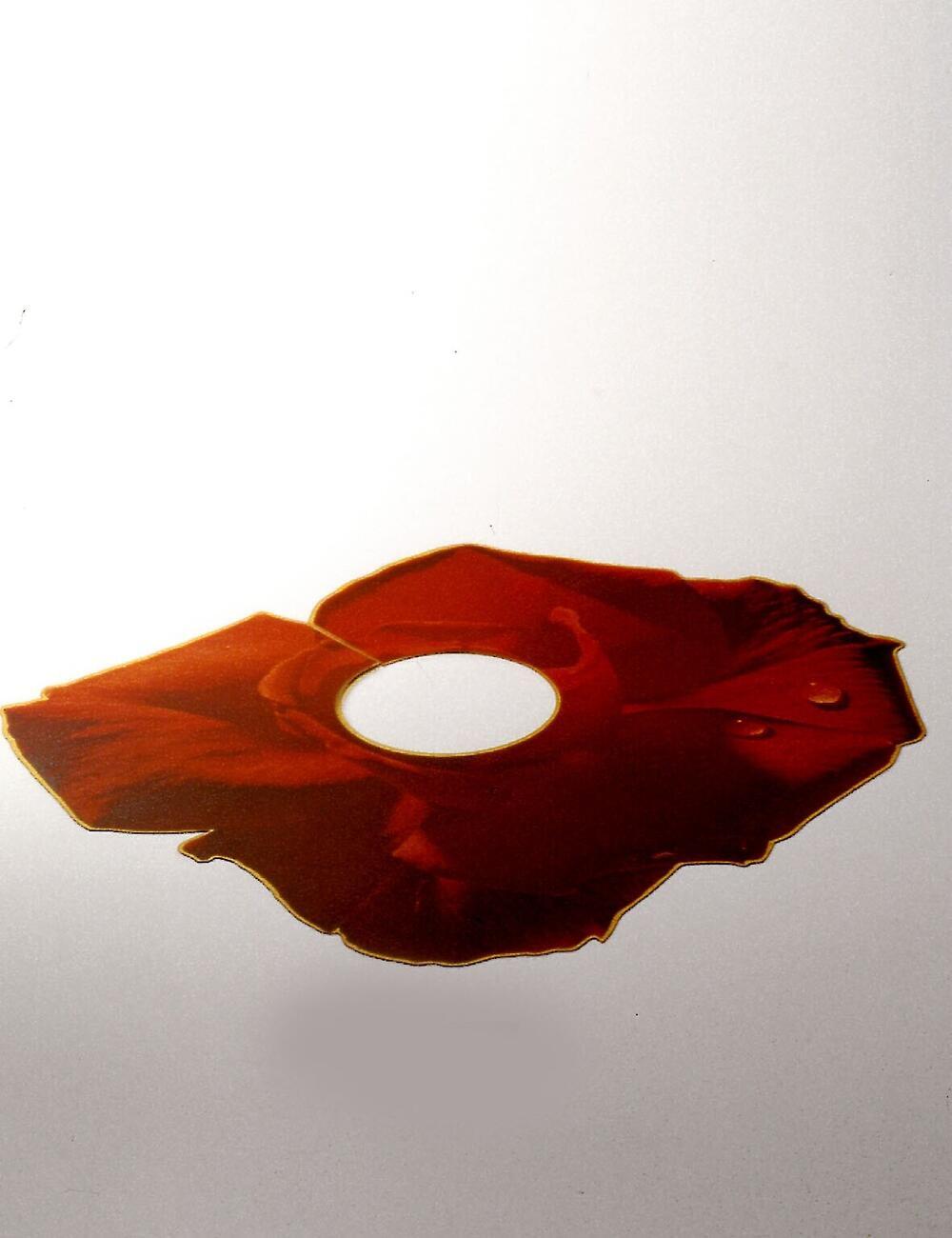 Dew Drop