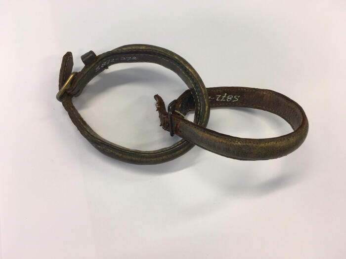 Enkelband