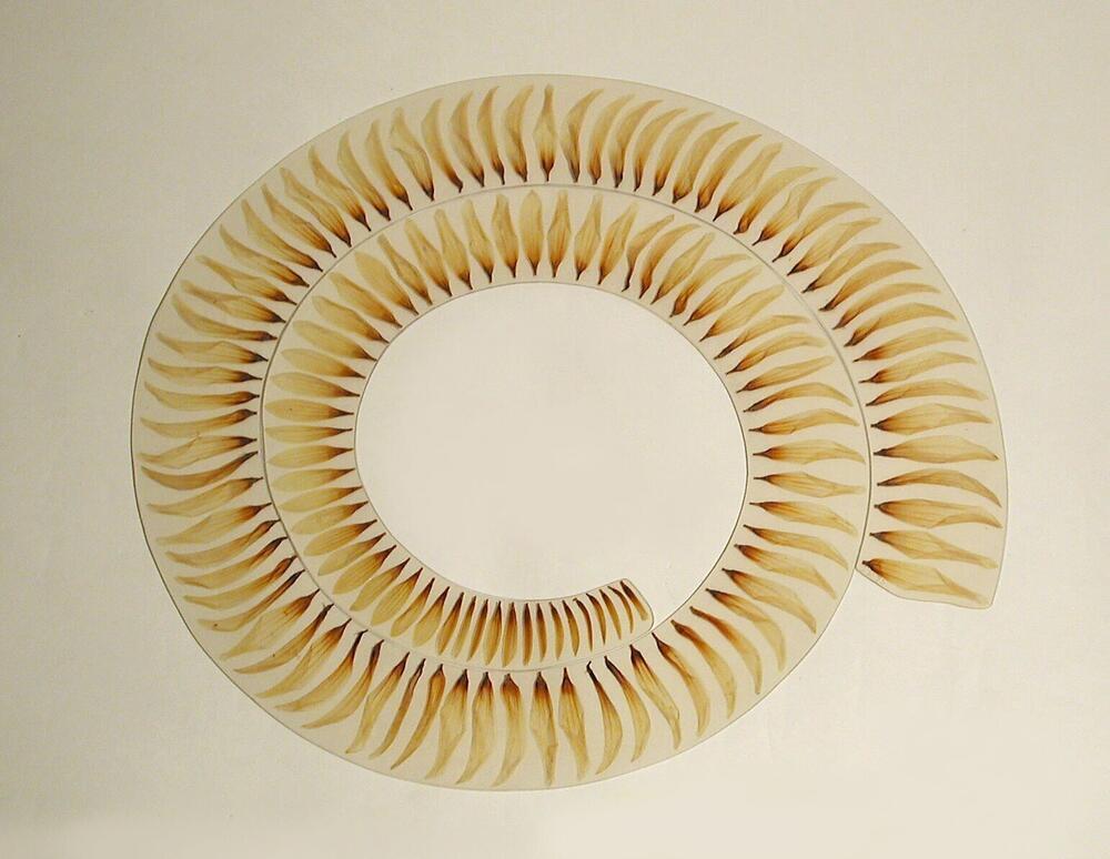 Dahlia collier / Dahlia necklace