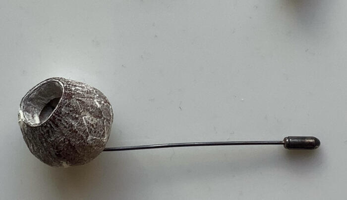 Broche met noot van eucalyptus