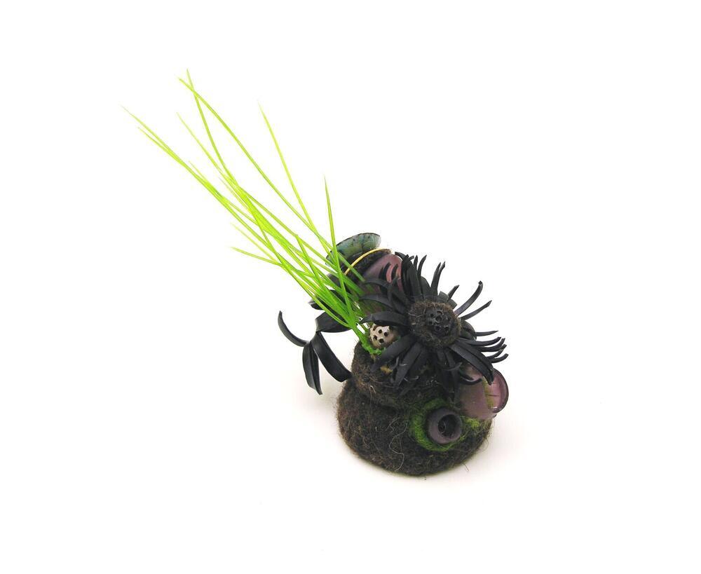 Growth series 5C