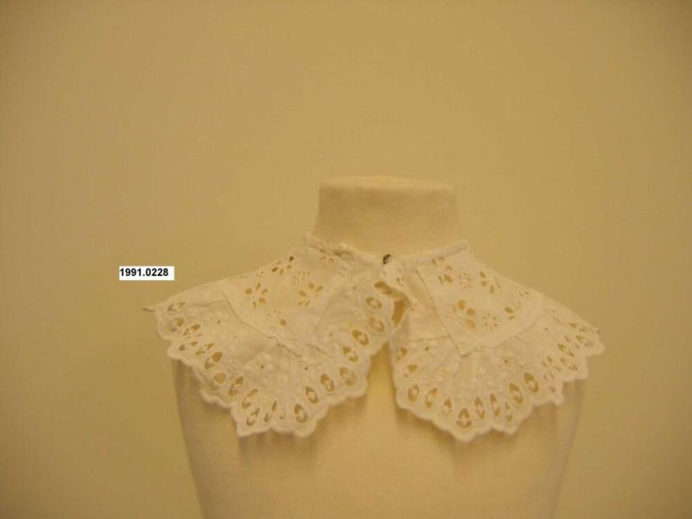 Kraag in witte katoen in broderie anglaise