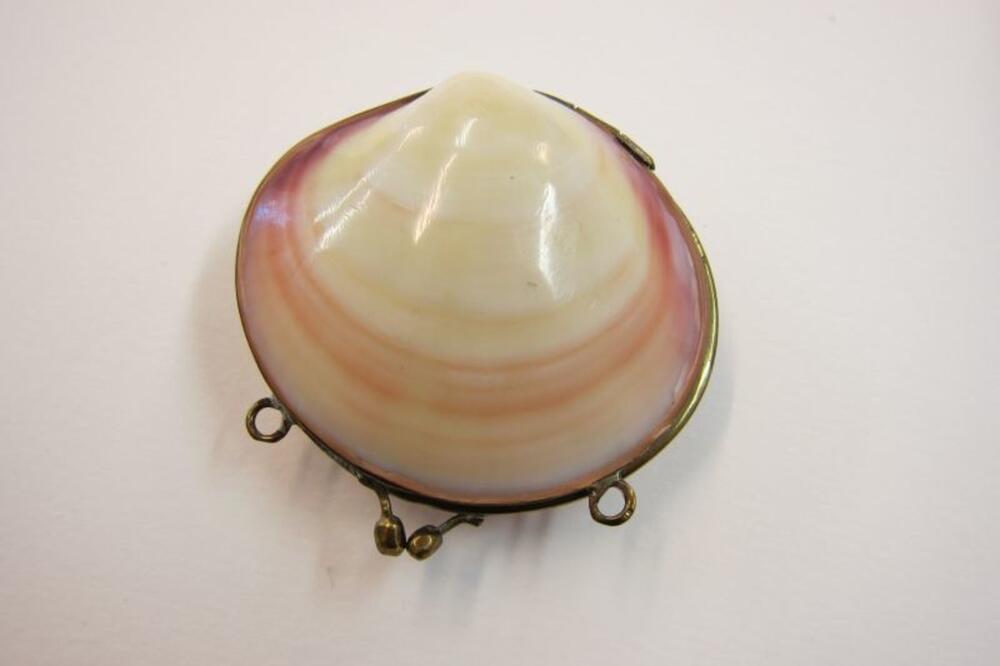 Etui in witte roze schelp in houder in koperkleur