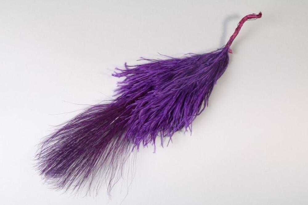 Mauve pluim