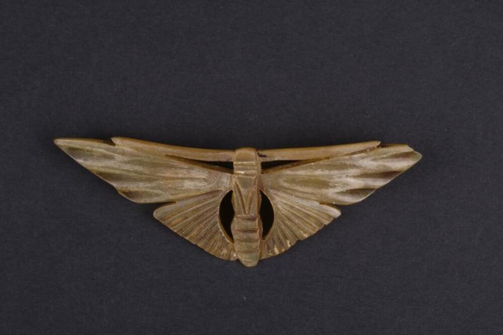 Broche in de vorm van een insect