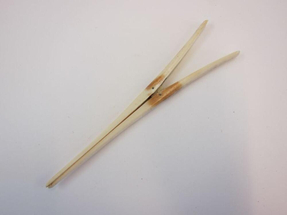 Handschoenentang in ivoor
