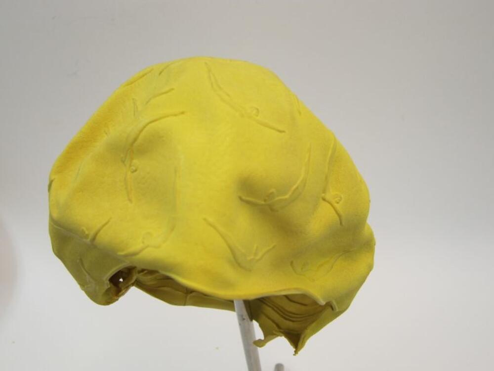 Gele badmuts iconic diving girl