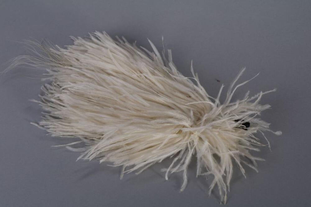 Witte struisvogelpluim op zwarte houder