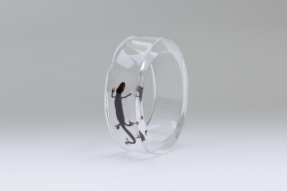 Salamander Bracelet