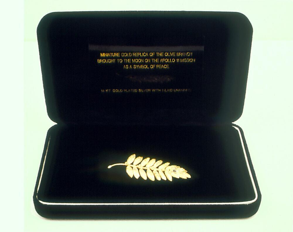 Olive branch brooch
