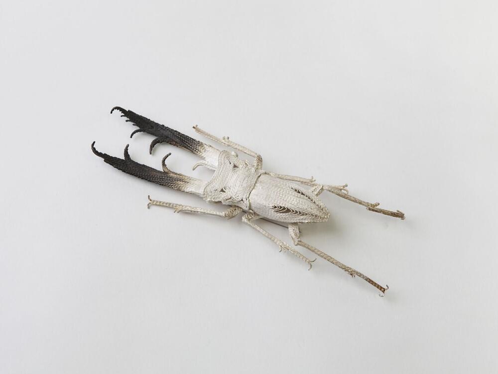 Specimen Series 3