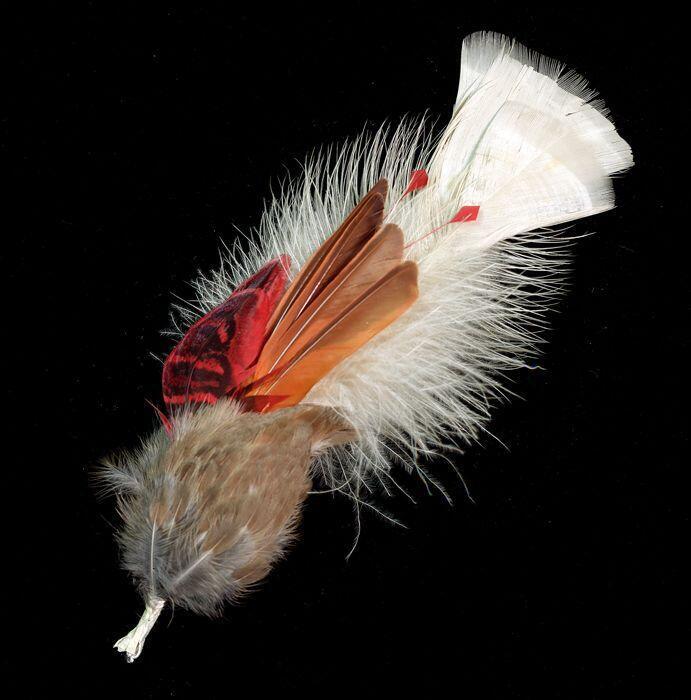 Veren hoedencorsage: combinatie van beige en witte veren met rood en oranje geverfde veren
