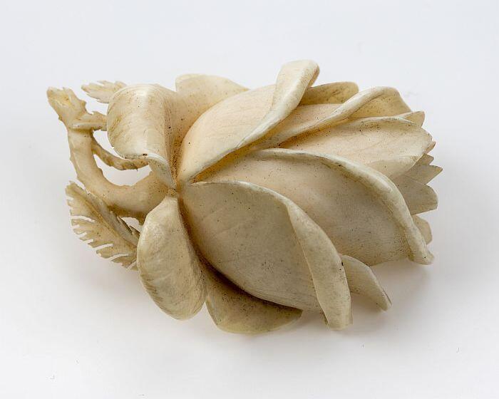 Ivoren broche een roos gesneden uit het ivoor, zeer gedetailleerd