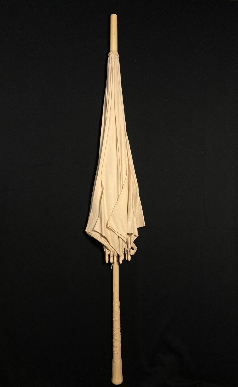 Parasol