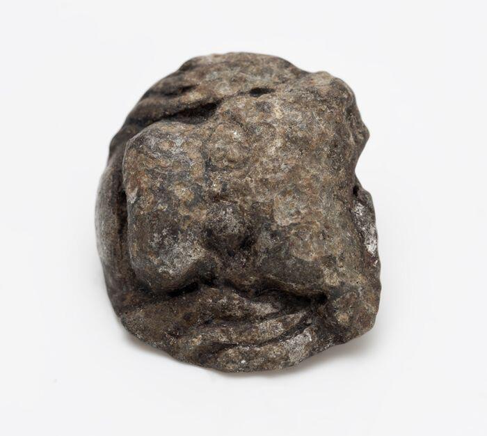 Leerbeslag, kleine zilveren leeuwenkop