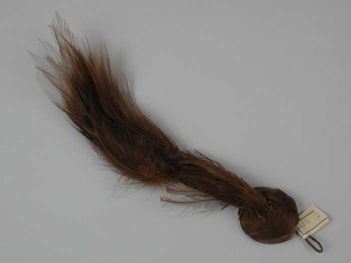 Veren hoedendecoratie of corsage, bruine veren geplakt op knoopvorm met daaraan een toef van lange…
