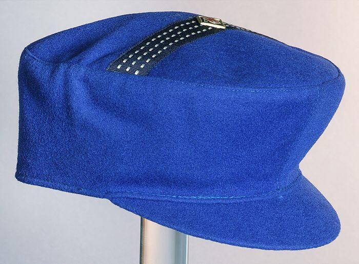 Blauwe DLM pet