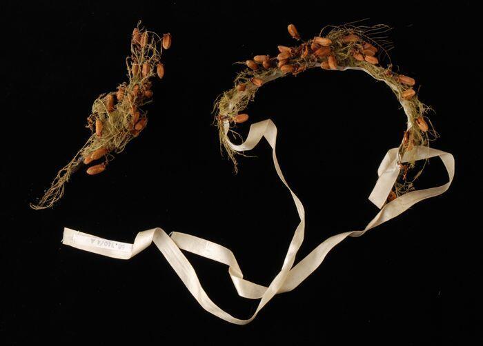 Diadeem en corsage, oranjebloesem