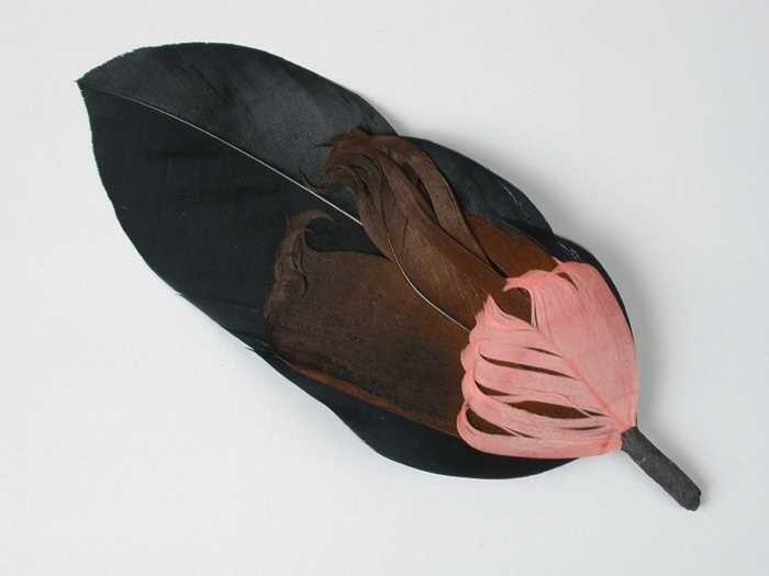 Veren hoedendecoratie of corsage, zwarte veer gecombineerd met bruine en roze veer
