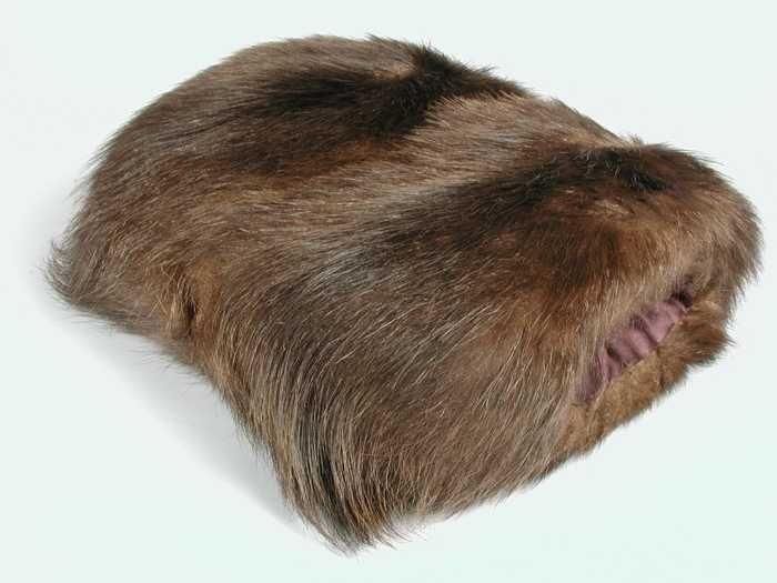 Grote mof van glanzend bruin bont met bruine zijdesatijnen voering
