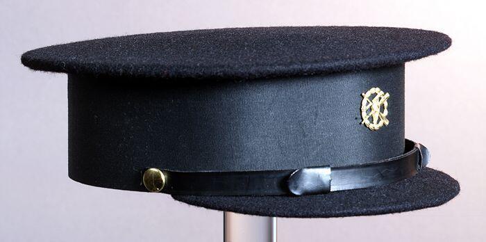 Zwarte Stanleypet, met goudkleurige speld