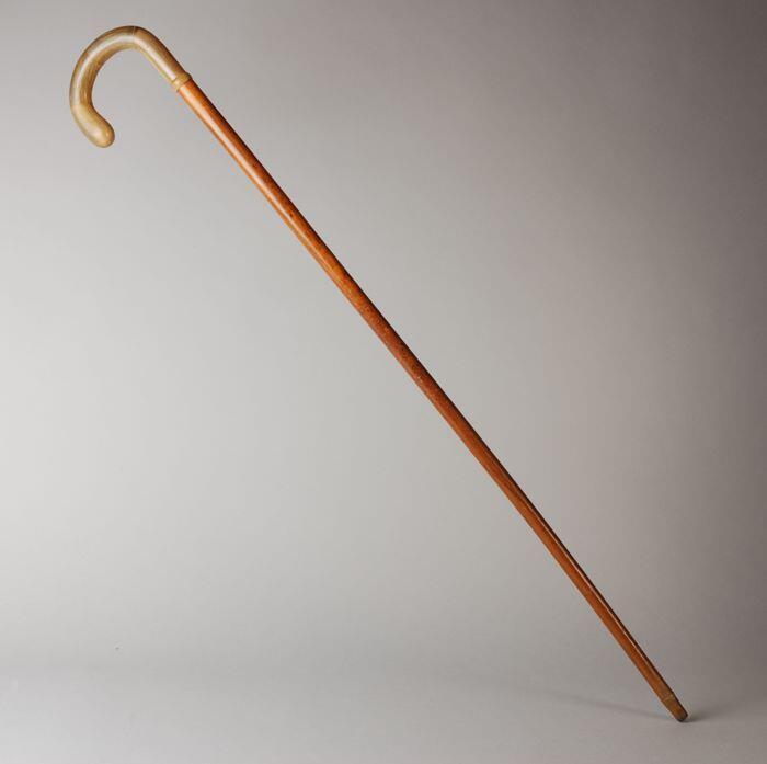 Wandelstok