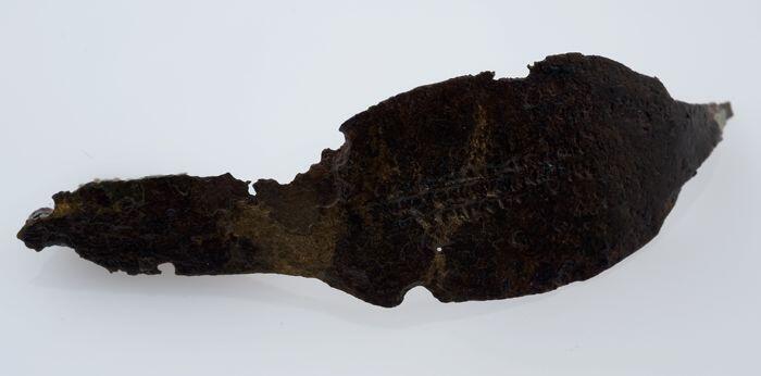 Bronzen fibula of mantelspeld, gebogen model met platte rug, zonder speld