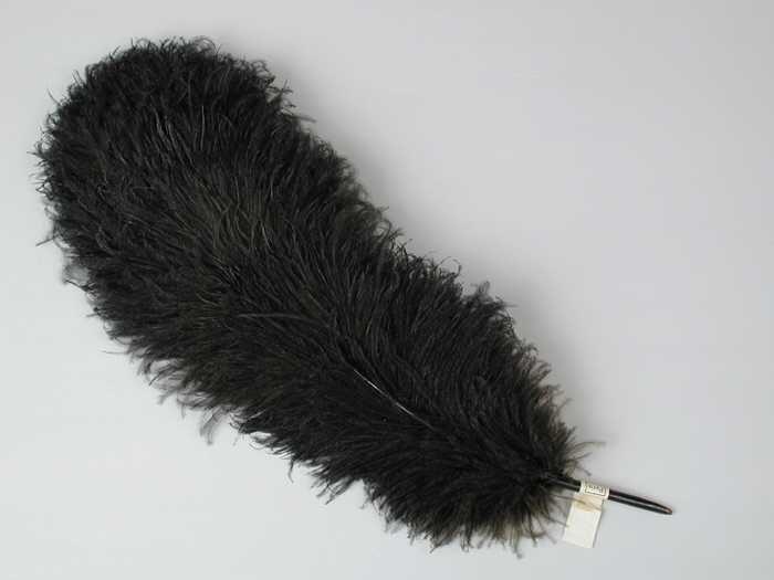 Veren hoedendecoratie of corsage, donkerbruine maraboeveer samengesteld uit meerdere (stukjes) veren