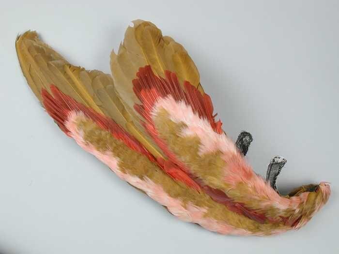 Verencorsage van rode, roze en caramelkleurige veren, in de vorm van een vleugel