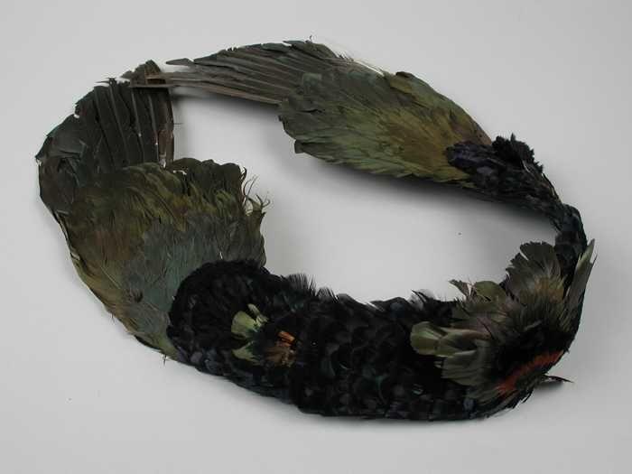 Grote bandvormige hoedencorsage van donkerblauwe en groen iriserende veren, aan beide zijde…