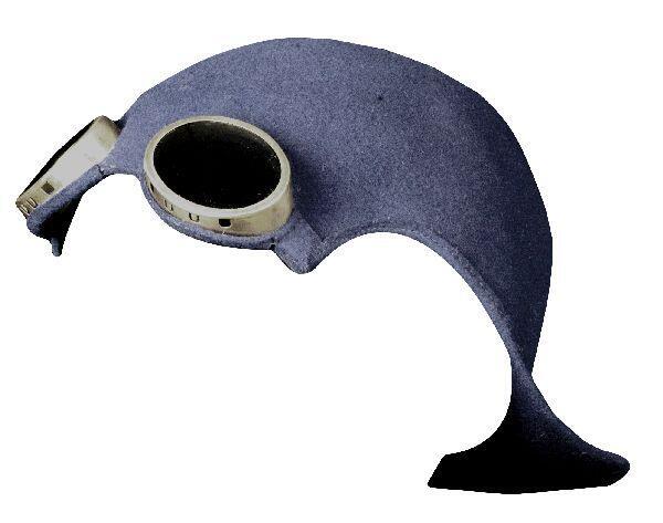 Pet