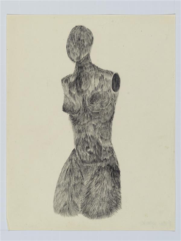 Torso