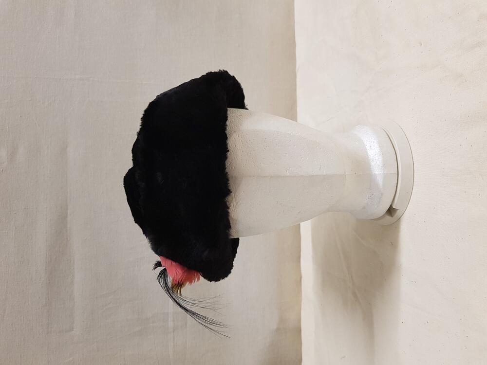 Vrouwenhoed