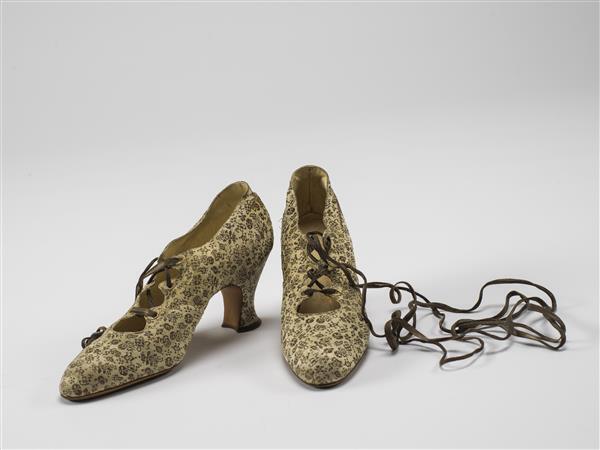 Een paar vrouwenavondschoenen