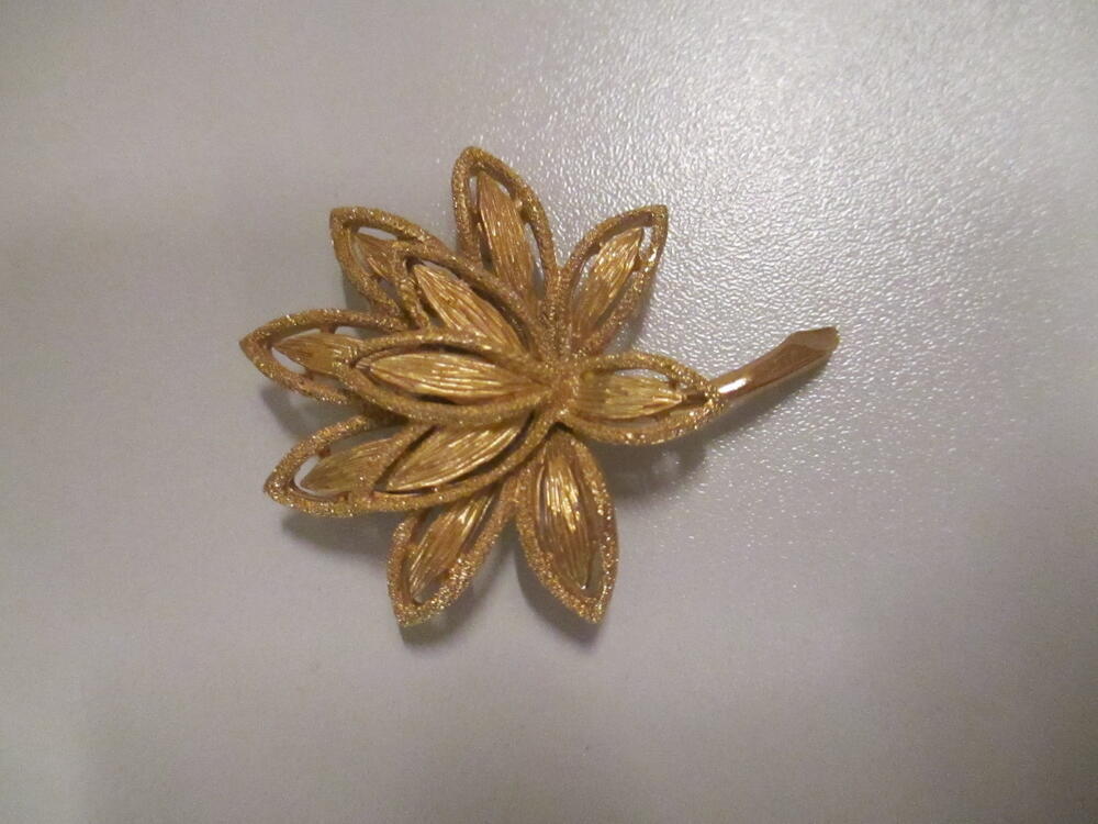 Broche van goudkleurig metaal met twee soorten reliëf, in de vorm van bloemtakje