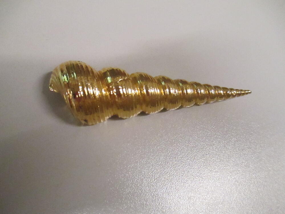 Broche van goudkleurig metaal in de vorm van een wenteltrapschelp