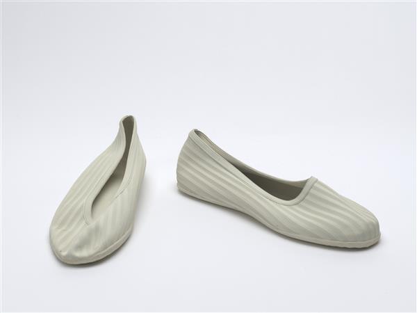 Waterschoenen