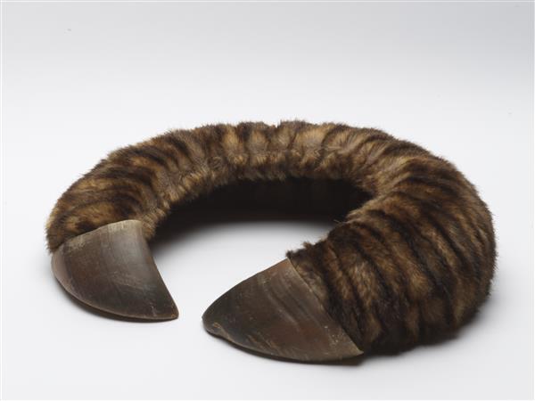 Collar
