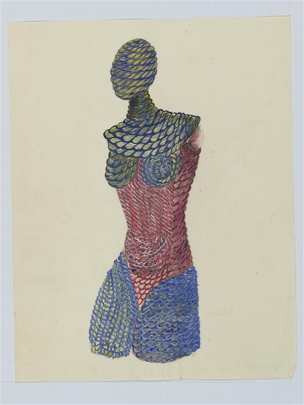 Torso
