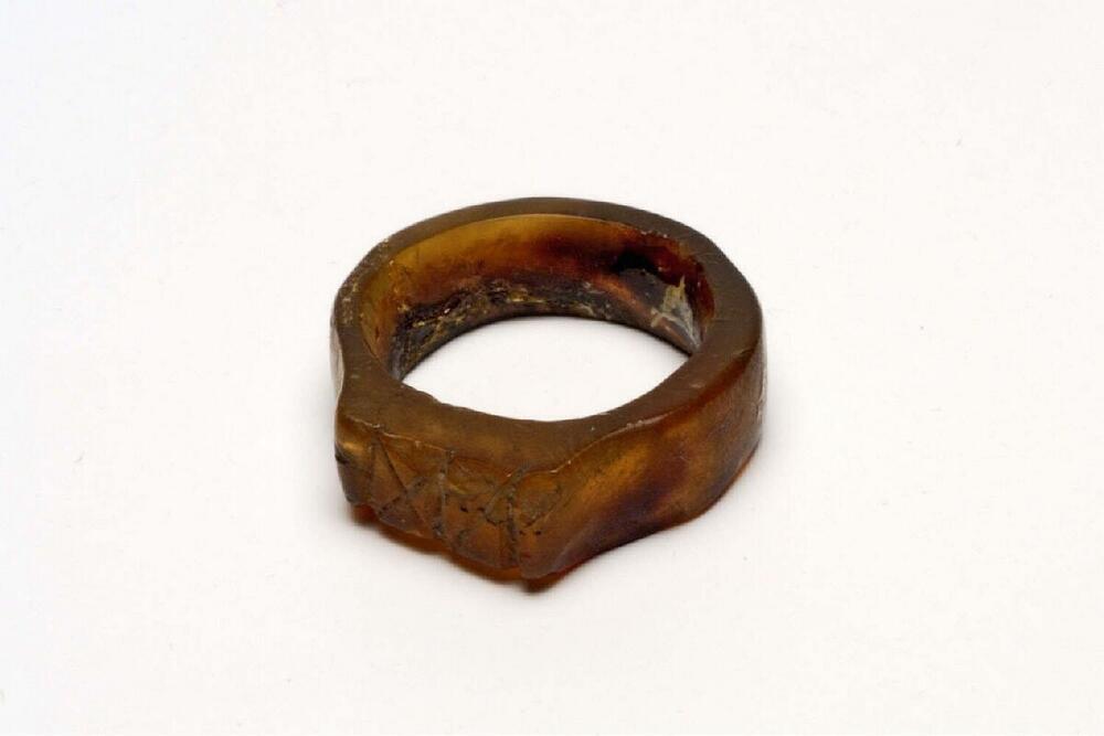 Ring van schildpadschild