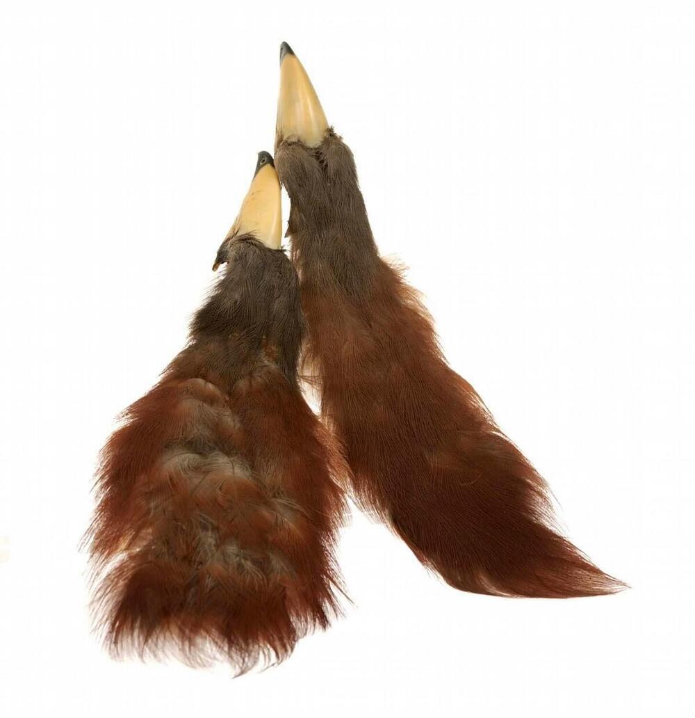 Mannenhalsversiering bestaande uit twee vogelsnavels