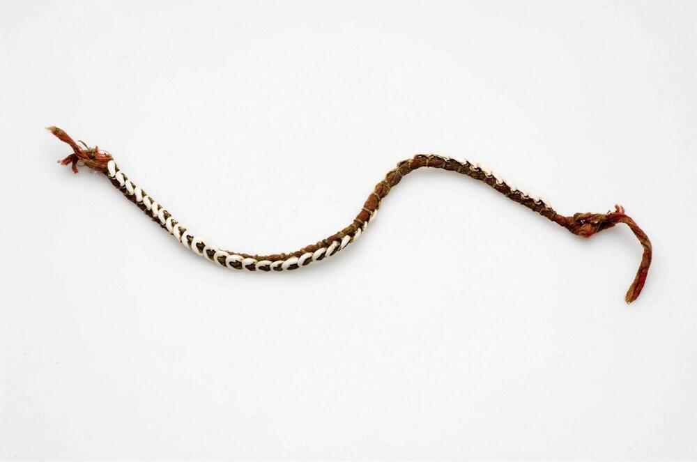 Knieband
