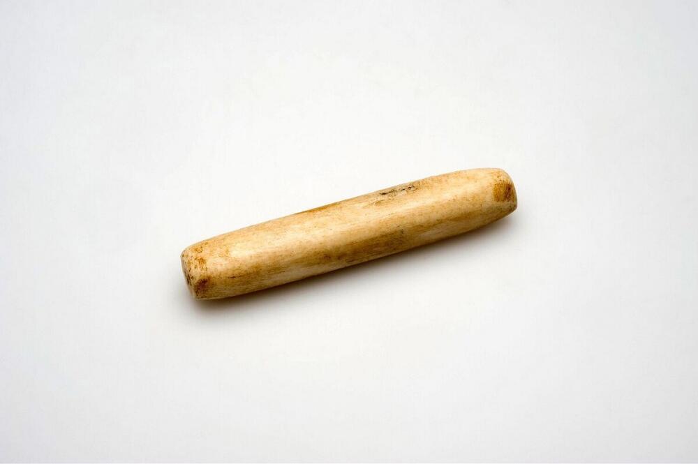 Neusstaaf