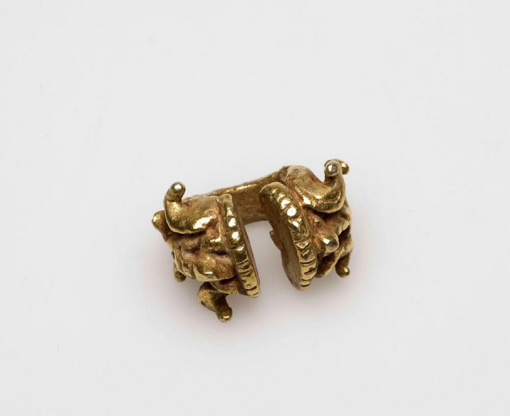Gouden oorring aan de voor en achterkant voorzien van krulmotieven
