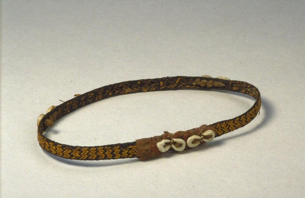 Armband voor de bovenarm, versierd met nassaschelpen